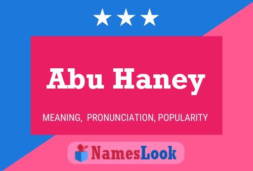 Affiche de nom Abu Haney