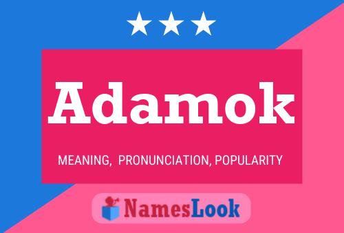 Affiche de nom Adamok