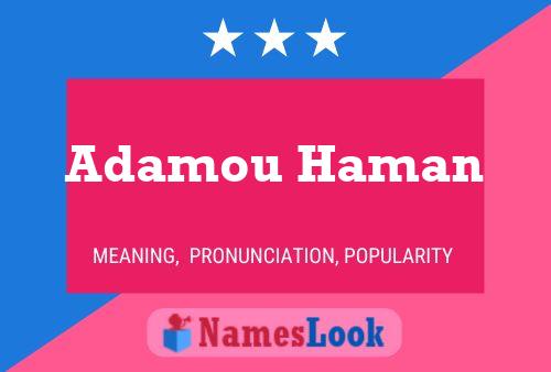 Affiche de nom Adamou Haman