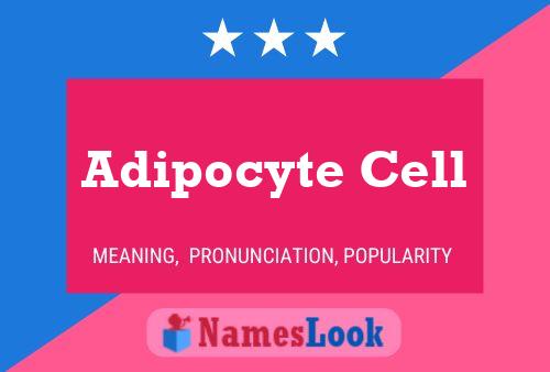 Affiche de nom Adipocyte Cell