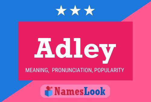 Affiche de nom Adley