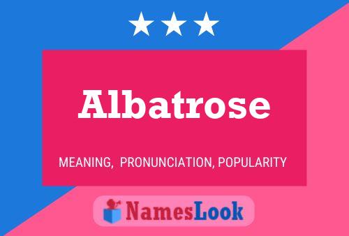 Affiche de nom Albatrose