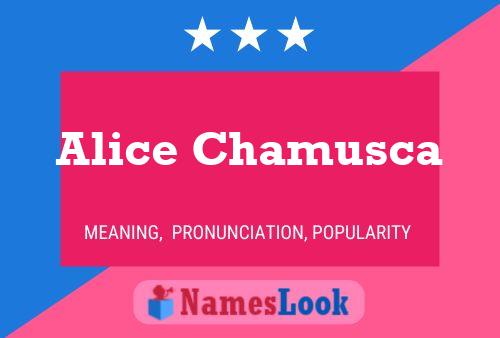 Affiche de nom Alice Chamusca