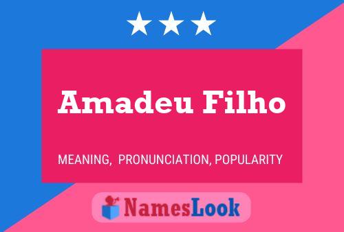 Affiche de nom Amadeu Filho