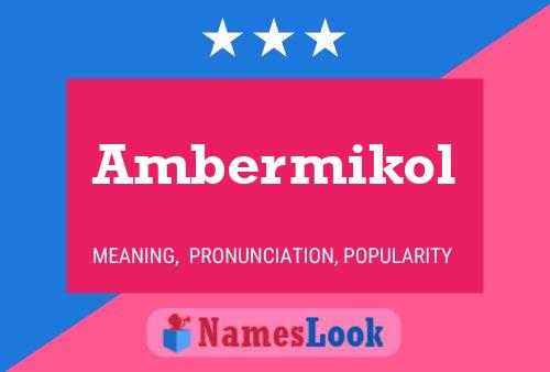 Affiche de nom Ambermikol