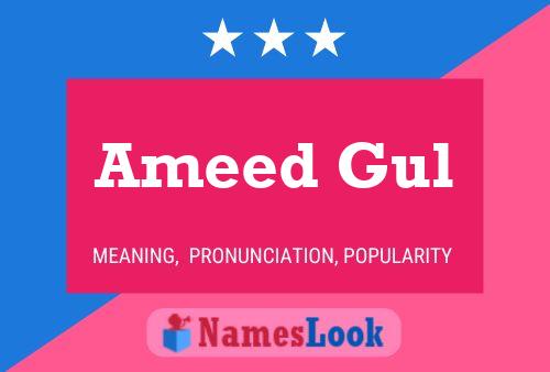 Affiche de nom Ameed Gul