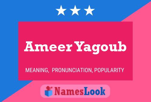 Affiche de nom Ameer Yagoub