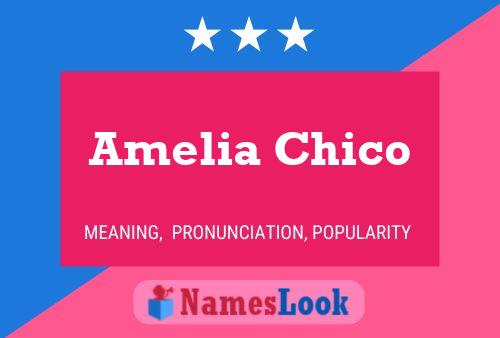 Affiche de nom Amelia Chico