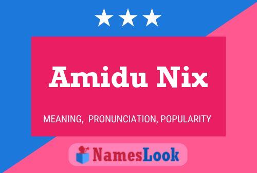 Affiche de nom Amidu Nix