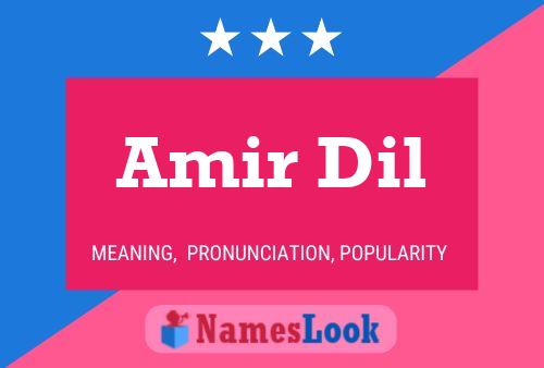 Affiche de nom Amir Dil