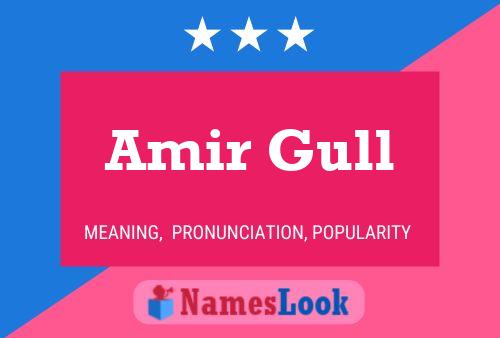 Affiche de nom Amir Gull