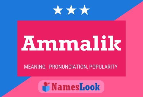 Affiche de nom Ammalik