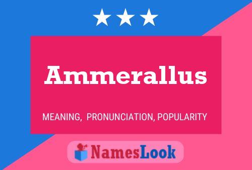 Affiche de nom Ammerallus