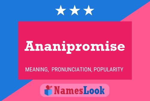 Affiche de nom Ananipromise