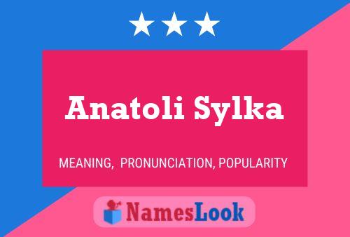 Affiche de nom Anatoli Sylka