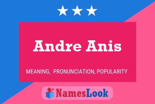 Affiche de nom Andre Anis