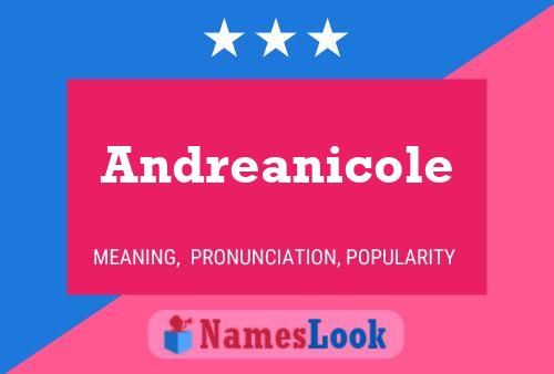 Affiche de nom Andreanicole