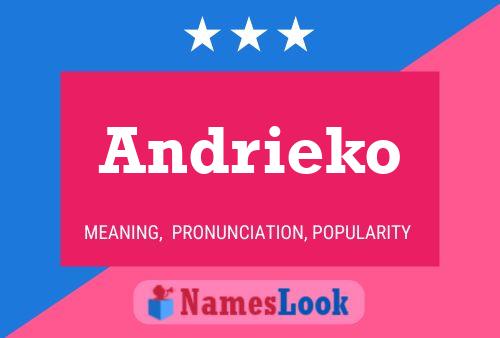 Affiche de nom Andrieko