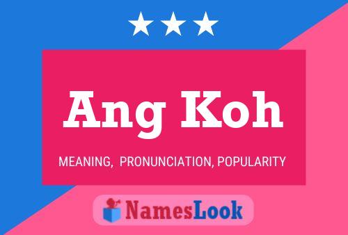 Affiche de nom Ang Koh