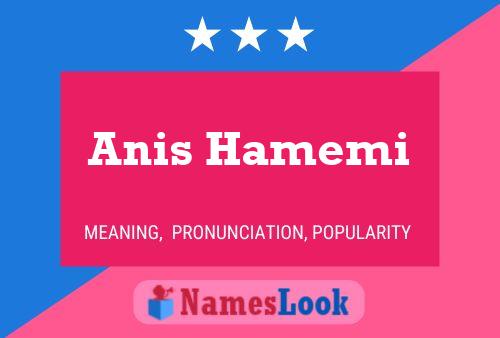 Affiche de nom Anis Hamemi