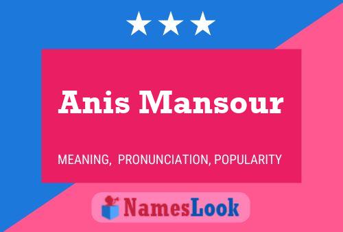 Affiche de nom Anis Mansour