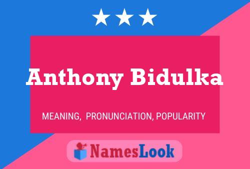 Affiche de nom Anthony Bidulka