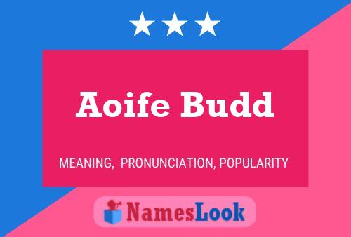 Affiche de nom Aoife Budd