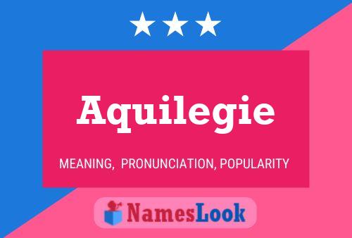 Affiche de nom Aquilegie