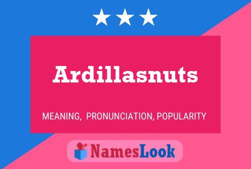 Affiche de nom Ardillasnuts