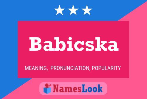 Affiche de nom Babicska