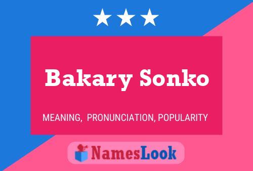 Affiche de nom Bakary Sonko