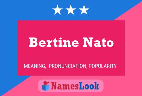 Affiche de nom Bertine Nato