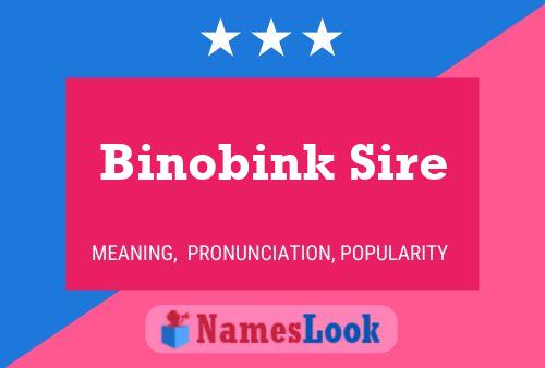 Affiche de nom Binobink Sire