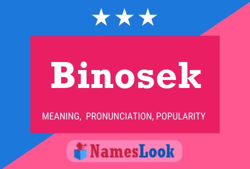 Affiche de nom Binosek