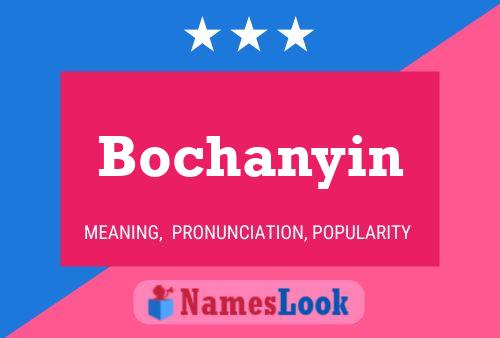 Affiche de nom Bochanyin