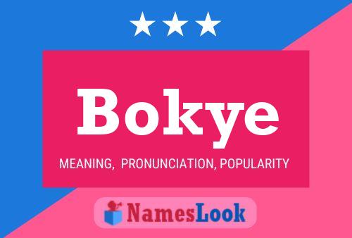 Affiche de nom Bokye