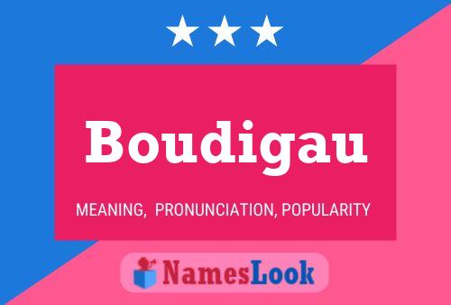 Affiche de nom Boudigau