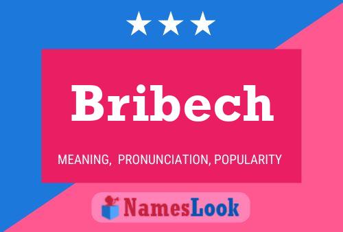 Affiche de nom Bribech