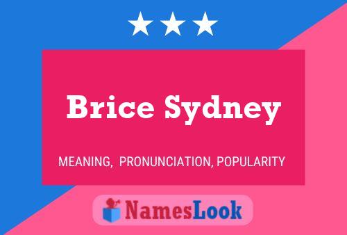 Affiche de nom Brice Sydney