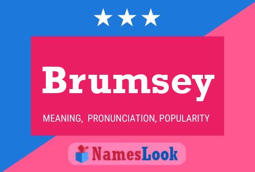 Affiche de nom Brumsey