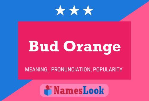 Affiche de nom Bud Orange