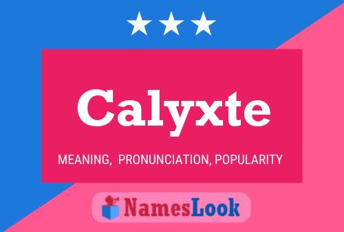 Affiche de nom Calyxte