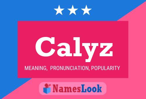 Affiche de nom Calyz