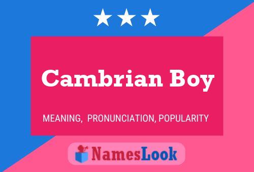 Affiche de nom Cambrian Boy