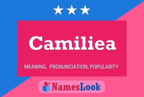 Affiche de nom Camiliea