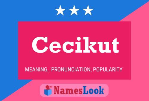 Affiche de nom Cecikut