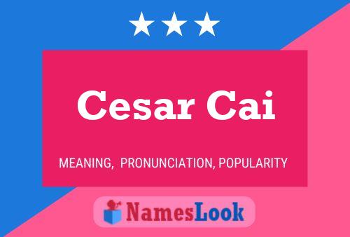 Affiche de nom Cesar Cai