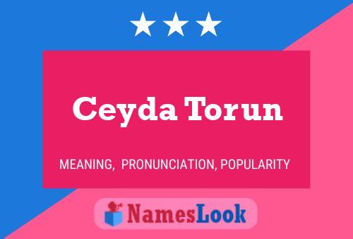 Affiche de nom Ceyda Torun