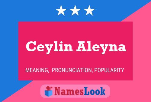 Affiche de nom Ceylin Aleyna