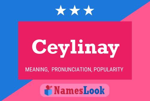 Affiche de nom Ceylinay